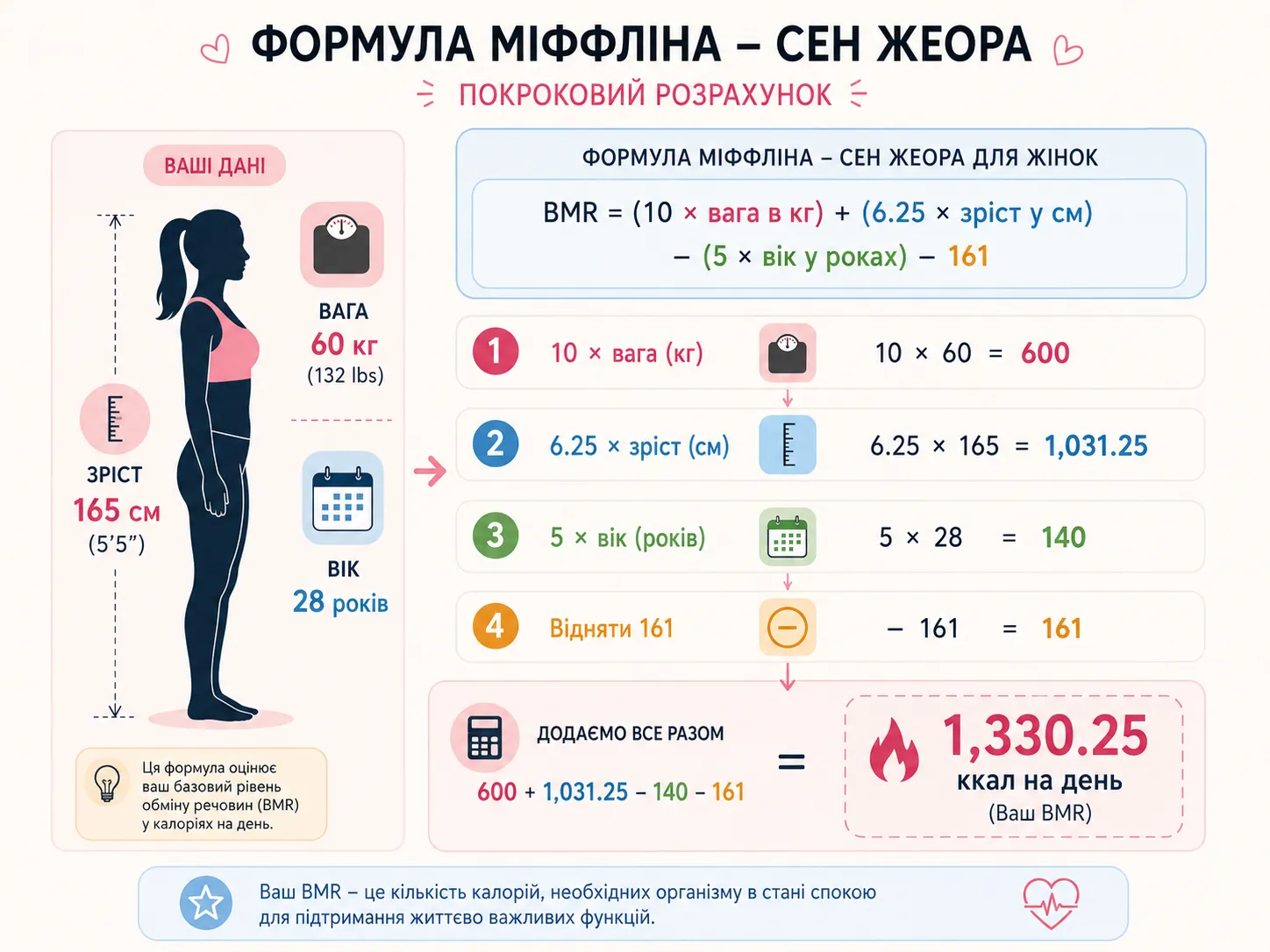 Візуалізація формули Міффліна–Сан Жеора для розрахунку калорій